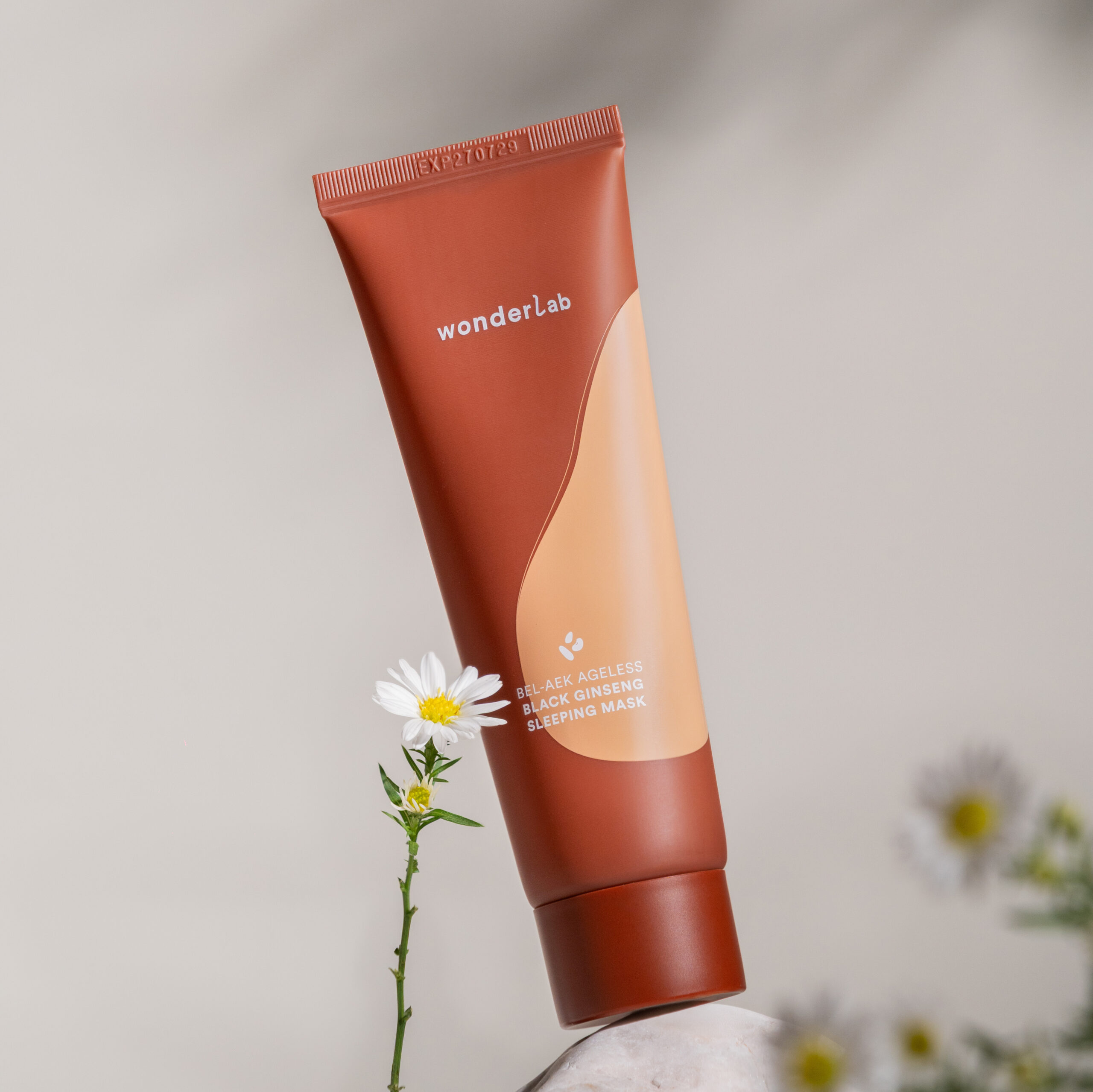 Why Black Ginseng Sleeping Mask ?
